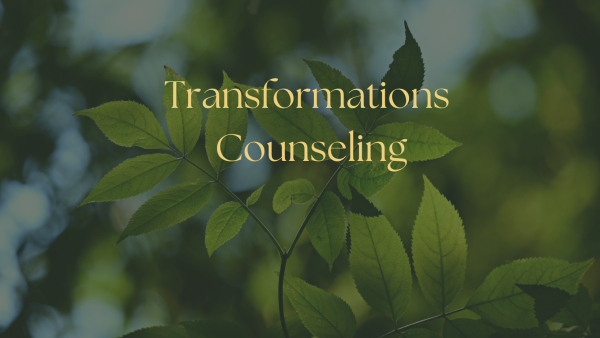 Transformations Counseling